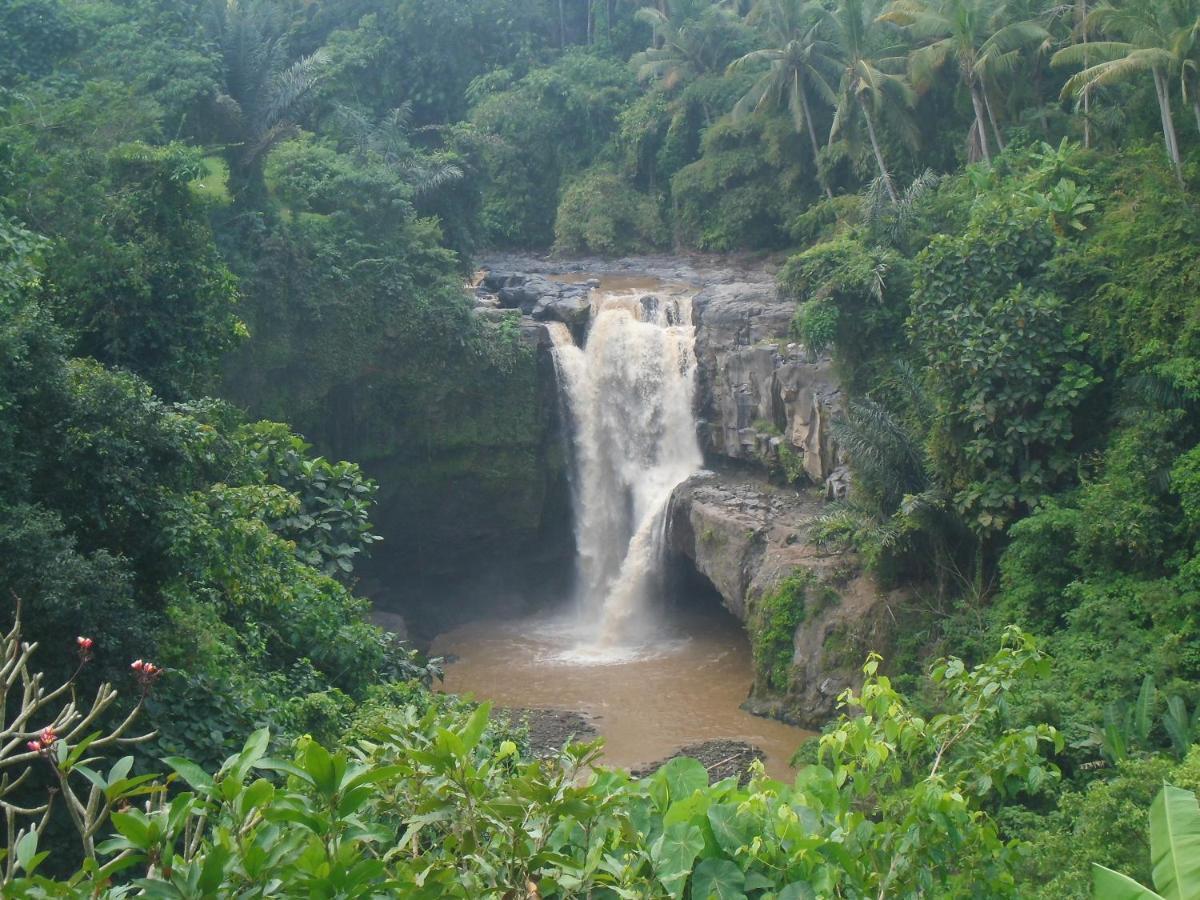Waterfall Guest House Sukawati  Ngoại thất bức ảnh